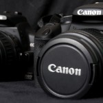 Canon EOS 500D – Erfahrungen mit der neuen Generation